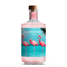 Load image into Gallery viewer, Flamboyance Gin 750ml
